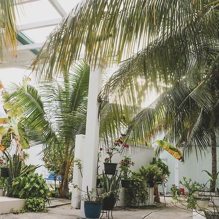 Fiyala Homestay Addu City Dış mekan fotoğraf