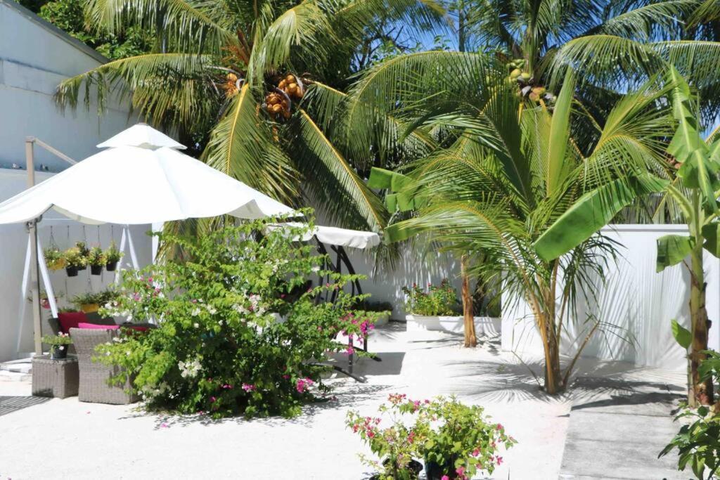 Fiyala Homestay Addu City Dış mekan fotoğraf