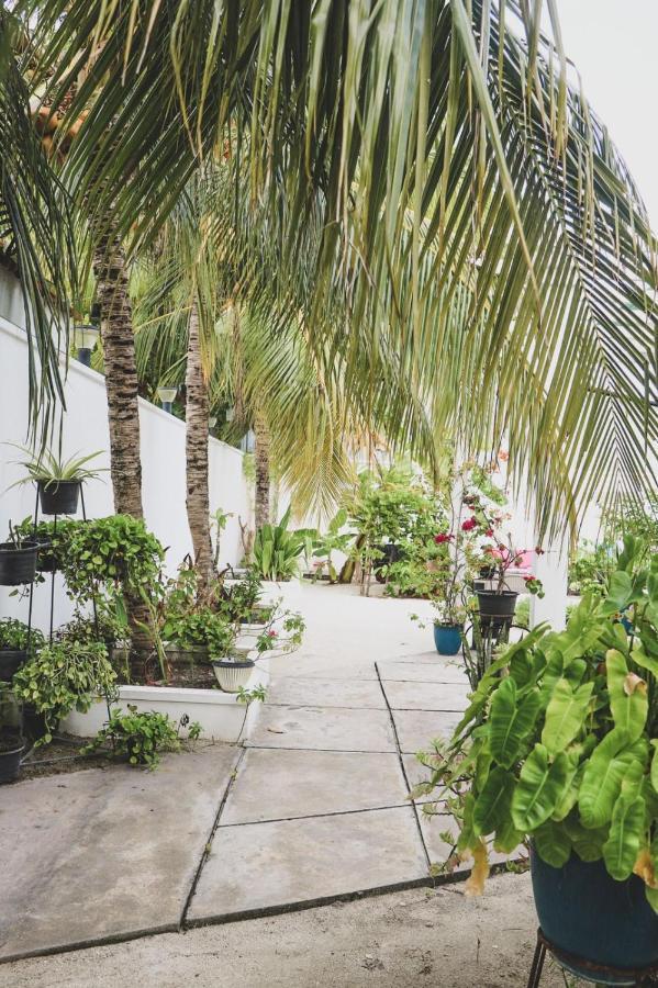 Fiyala Homestay Addu City Dış mekan fotoğraf