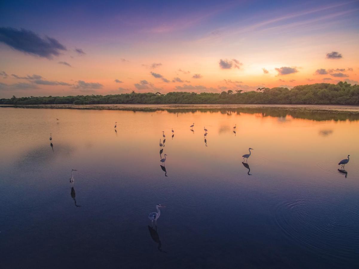 Fiyala Homestay Addu City Dış mekan fotoğraf
