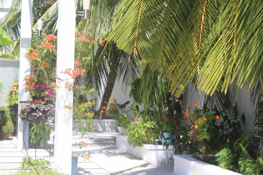 Fiyala Homestay Addu City Dış mekan fotoğraf