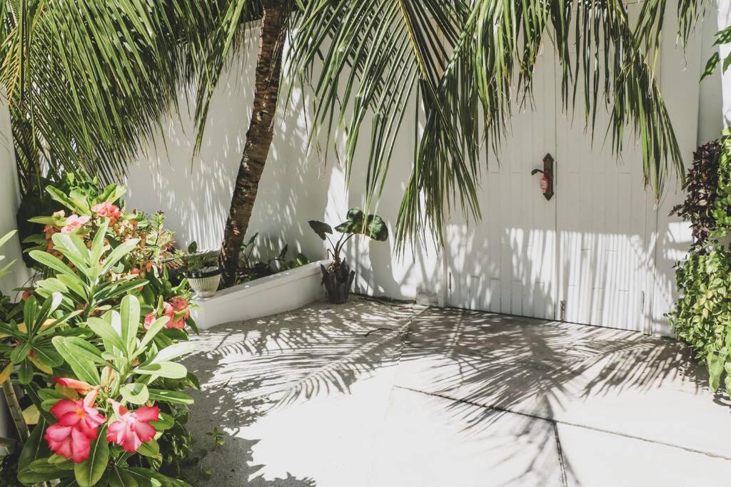 Fiyala Homestay Addu City Dış mekan fotoğraf